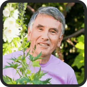 Stinger Red Dot Review 1